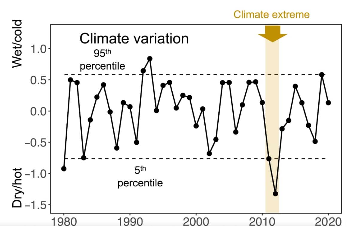 Grassland diversity graph