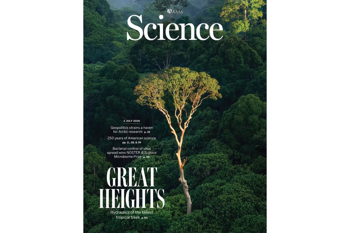 Science magazine cover