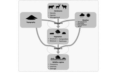 Empirical synthesis: herbivores reducing fuel loads and wildfire severity