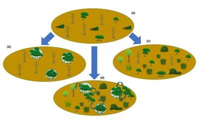Restore or rewild? Implementing complementary approaches to bend the curve on biodiversity loss