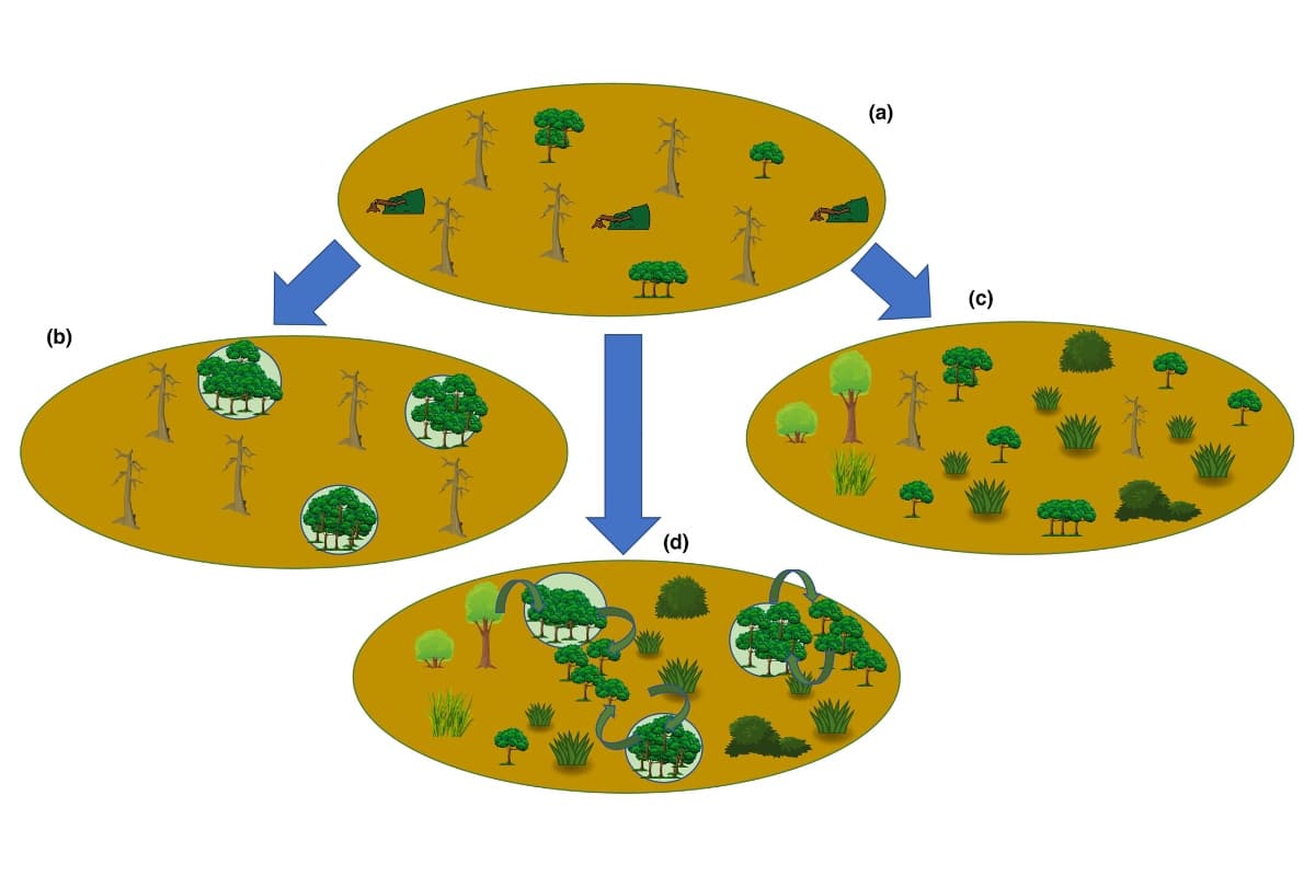 Restore or rewild? Implementing complementary approaches to bend the curve on biodiversity loss
