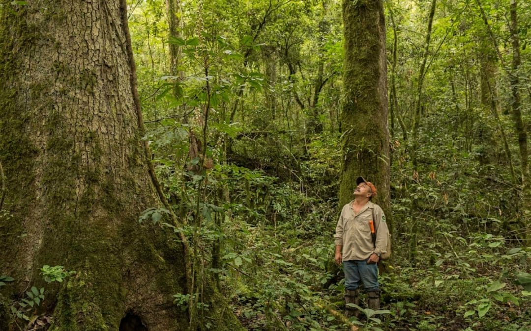 Funding to Scale Rewilding: Grupo Ecológico Sierra GordaSeptember 17th 2026
