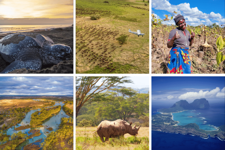 rewilding and nature recovery around the world
