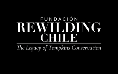 Rewilding Chile Is Launched