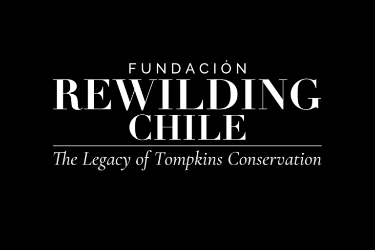 Rewilding Chile banner
