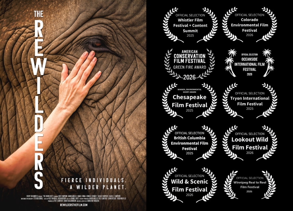 Film banner for 'REWILDERS' film