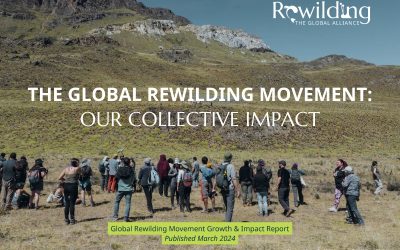 The Global Rewilding Movement: Our Collective Impact