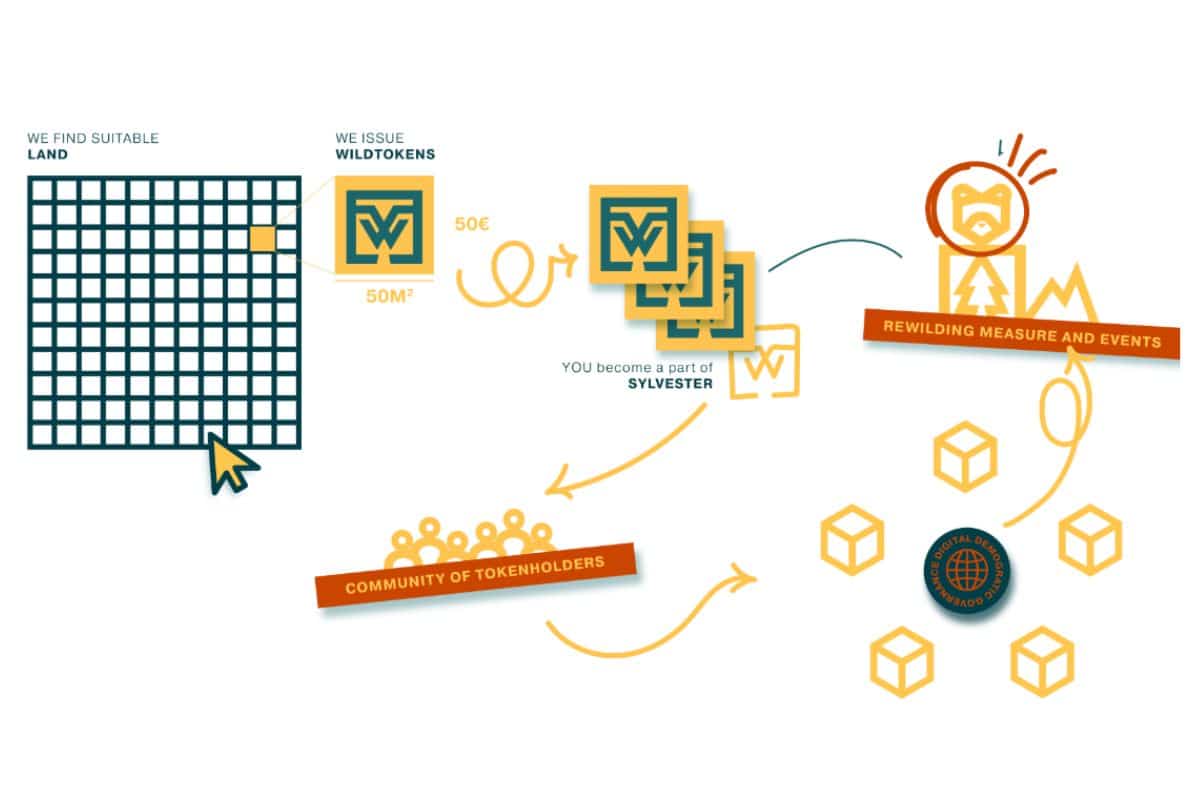 WildTokens Infographic. Credit Sylvester