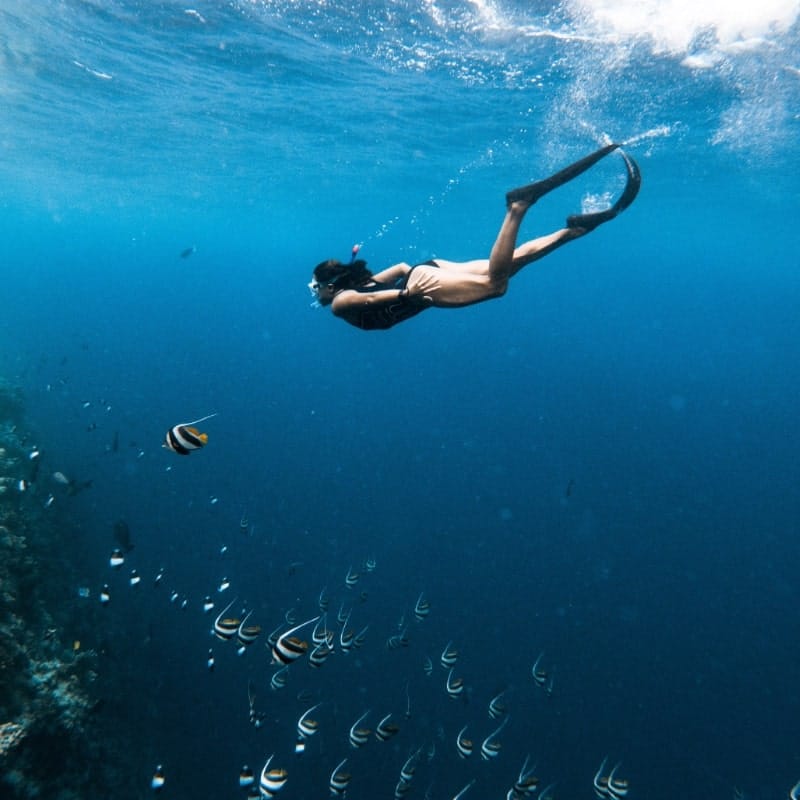 woman snorkelling with tropical fish