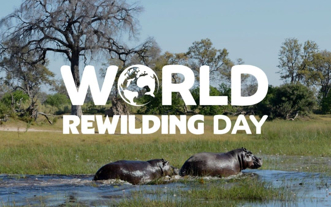 Global Rewilding Communicators Network: World Rewilding Day 2027 Brainstorm  September 24th 2026