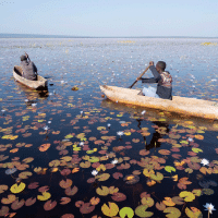 Zambia wetlands